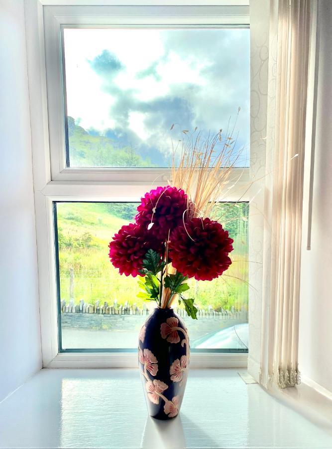 Antur Cottage Blaenau Ffestiniog Luaran gambar