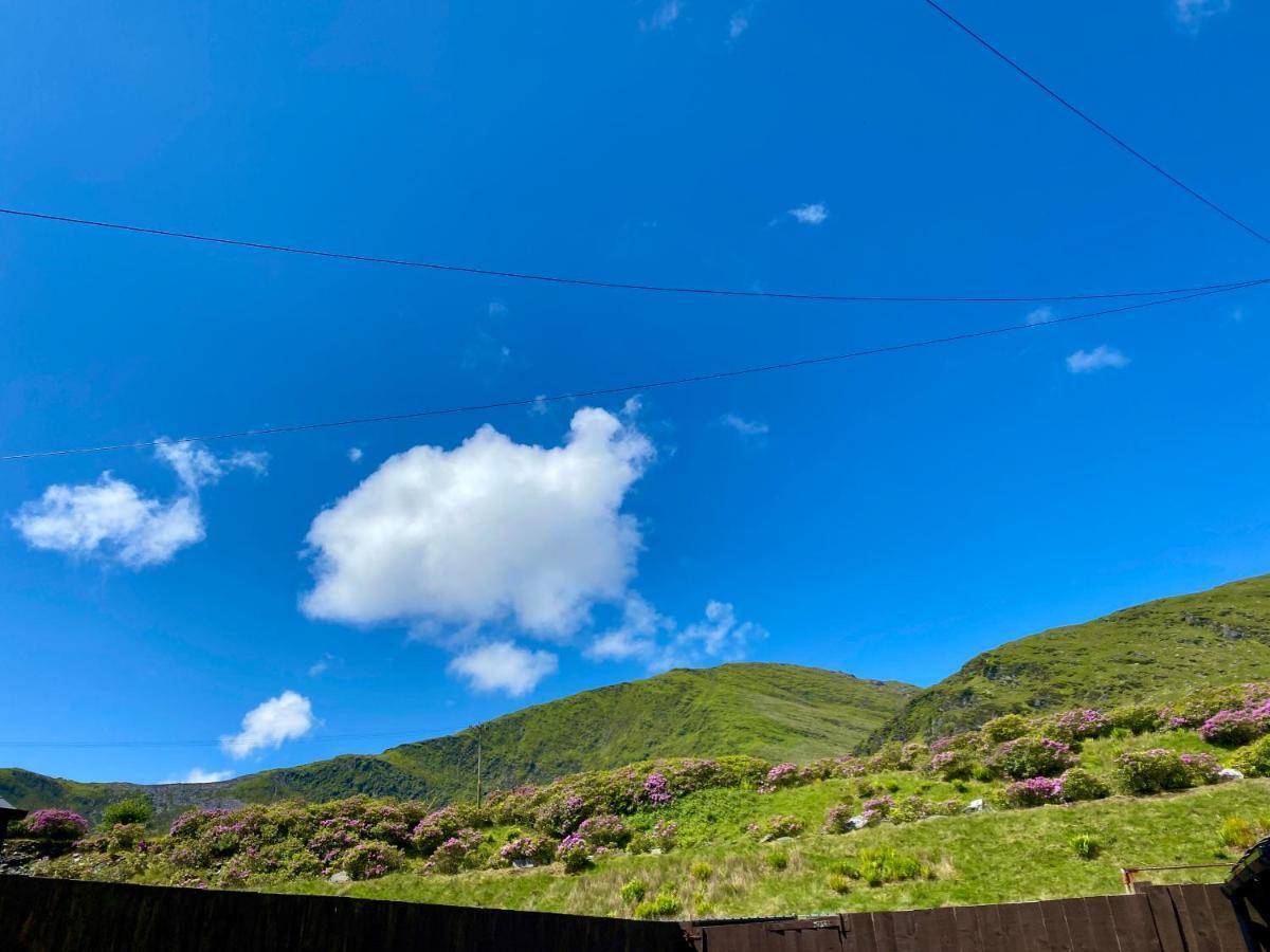 Antur Cottage Blaenau Ffestiniog Luaran gambar